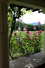 Mt. Ascutney from St Gauden's Historic Park - Vertical